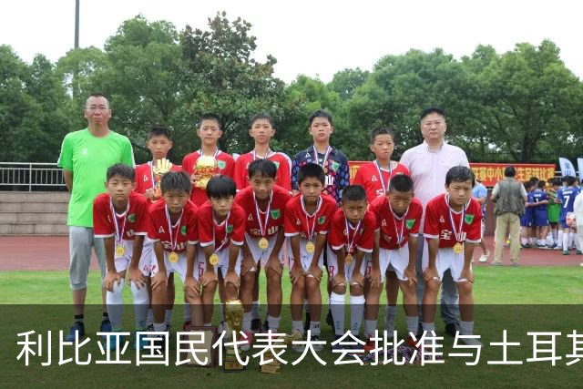 利比亚国民代表大会批准与土耳其海域划界协议,欧盟和希腊表达反对